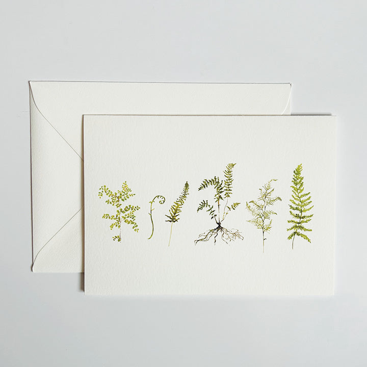 Fern Folded Notecards