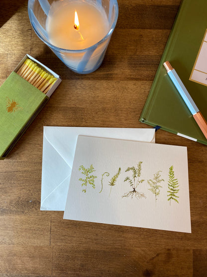 Fern Folded Notecards