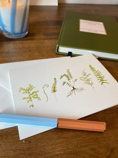 Fern Folded Notecards