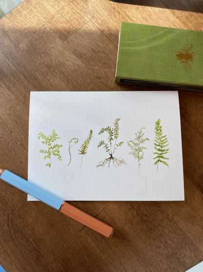 Fern Folded Notecards